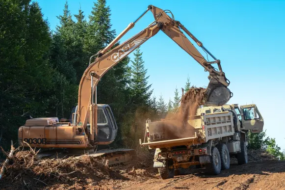 カジノ スロッティ ウェイ サポート